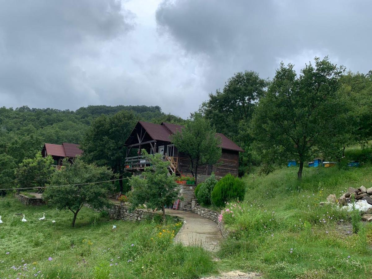 Origjina Farm Përmet Exterior foto