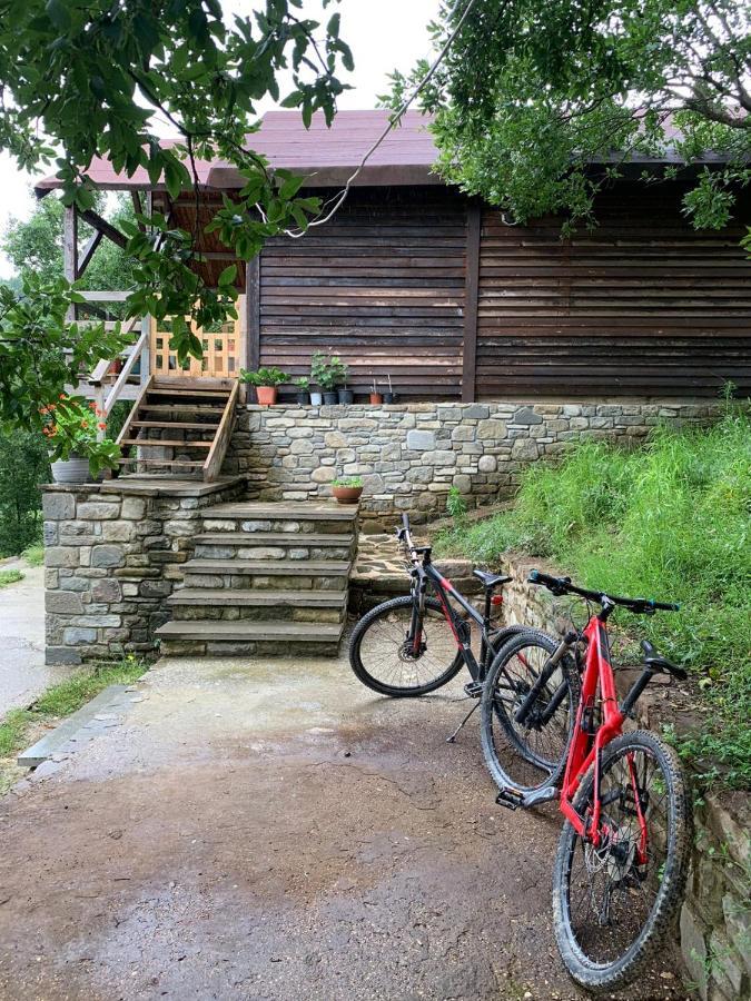 Origjina Farm Përmet Exterior foto